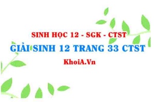 Giải Sinh 12 trang 33 Chân trời Sáng tạo